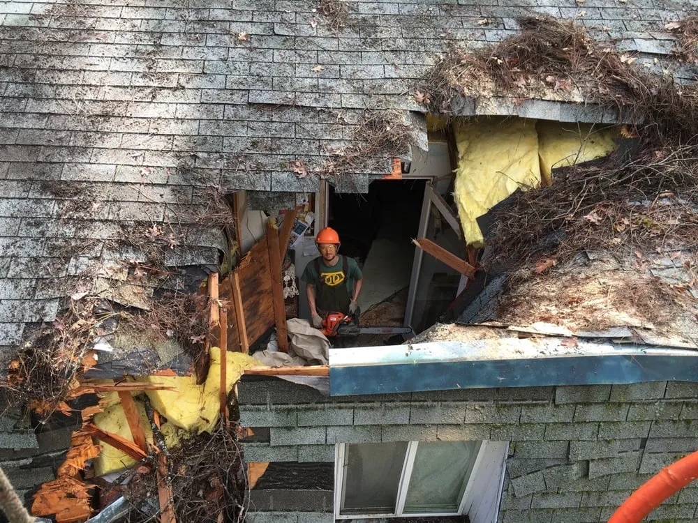 Reliable lawn care service for residential properties across Grass Valley, CA - First Impressions Tree Service and Landscaping