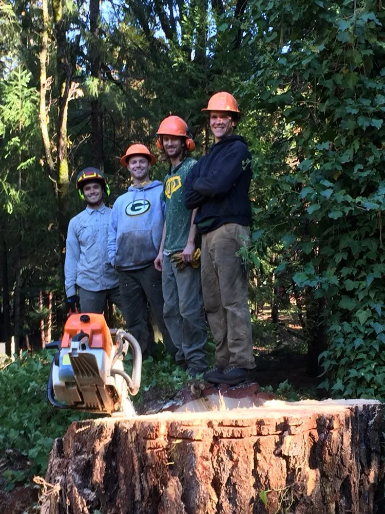 Top-rated landscaping services in Grass Valley, CA - First Impressions Tree Service and Landscaping