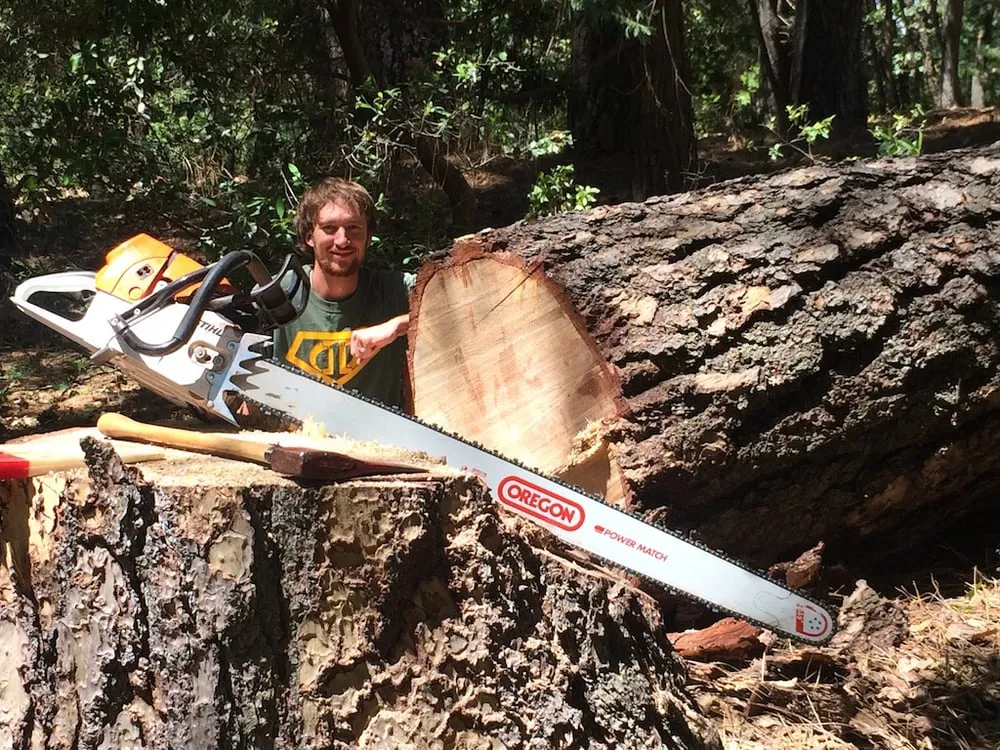 Custom outdoor landscaping for outdoor upgrades in Grass Valley, CA by First Impressions Tree Service and Landscaping