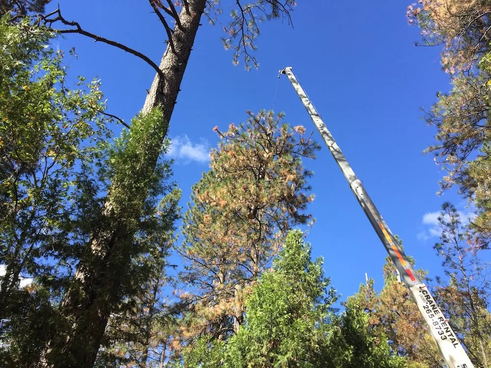 Top-rated yard maintenance for beautiful yards in Grass Valley, CA by First Impressions Tree Service and Landscaping