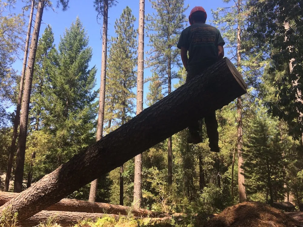 Trusted outdoor landscaping experts serving Grass Valley, CA - First Impressions Tree Service and Landscaping