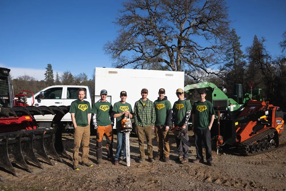 Top-rated landscape installation experts serving Grass Valley, CA - First Impressions Tree Service and Landscaping