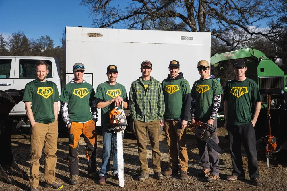 Affordable landscape design in Grass Valley, CA by First Impressions Tree Service and Landscaping