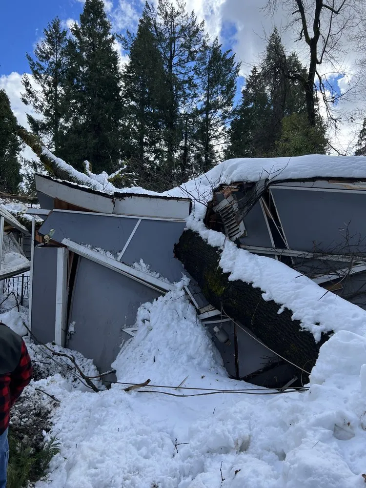 Trusted lawn care service experts serving Grass Valley, CA - First Impressions Tree Service and Landscaping