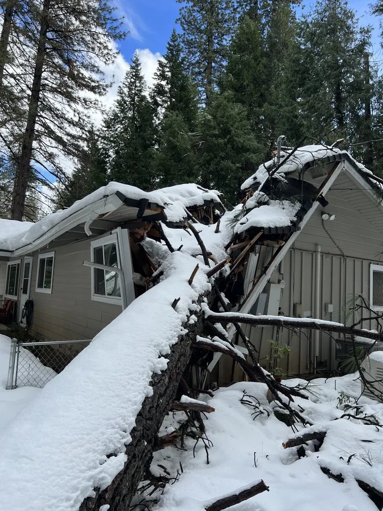 Expert residential landscaping with custom design in Grass Valley, CA by First Impressions Tree Service and Landscaping