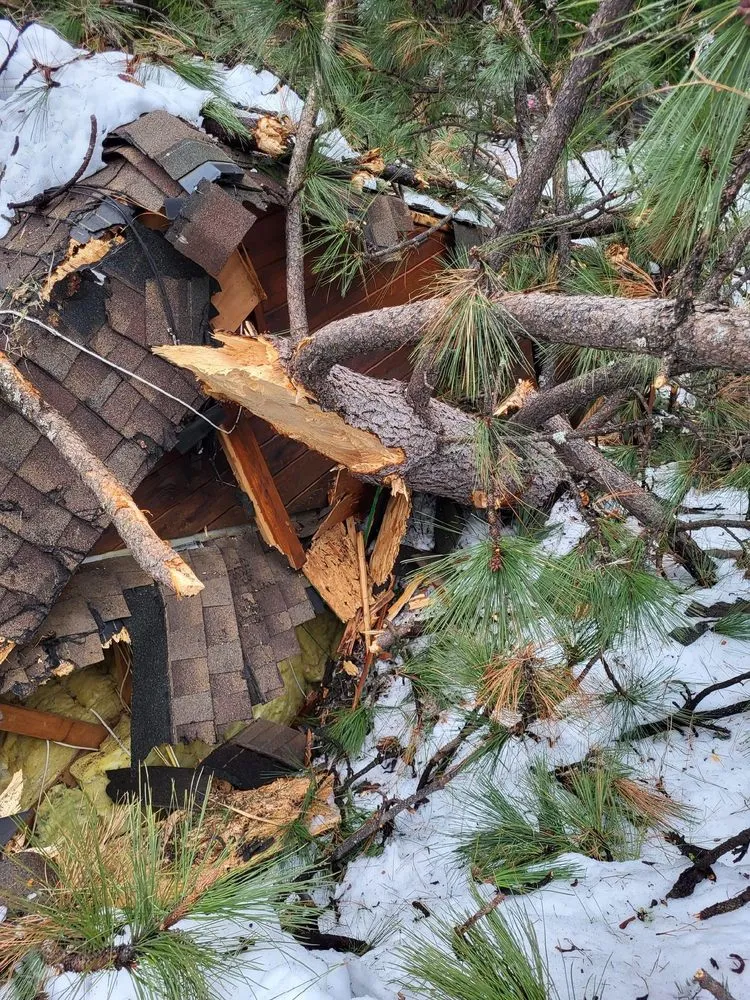 Local yard maintenance experts serving Grass Valley, CA - First Impressions Tree Service and Landscaping