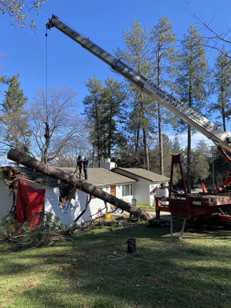 Affordable residential landscaping near you across Grass Valley, CA - First Impressions Tree Service and Landscaping