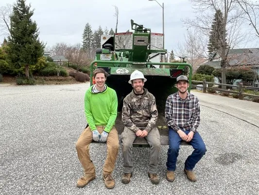 First Impressions Tree Service and Landscaping Logo