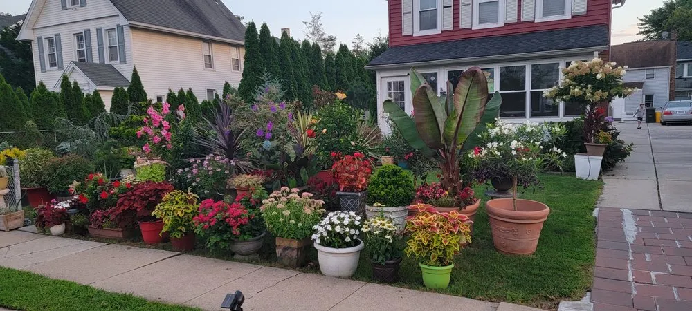 Affordable yard cleanup service experts serving Woodmere, NY - First in class landscape