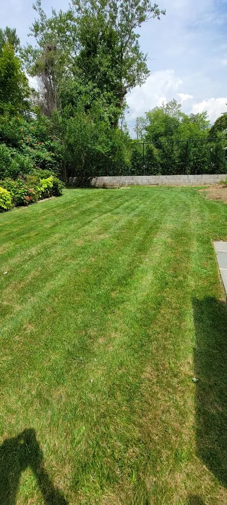 Trusted garden landscaping for beautiful yards across Woodmere, NY - First in class landscape