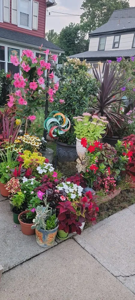 Top-rated yard cleanup service experts serving Woodmere, NY - First in class landscape