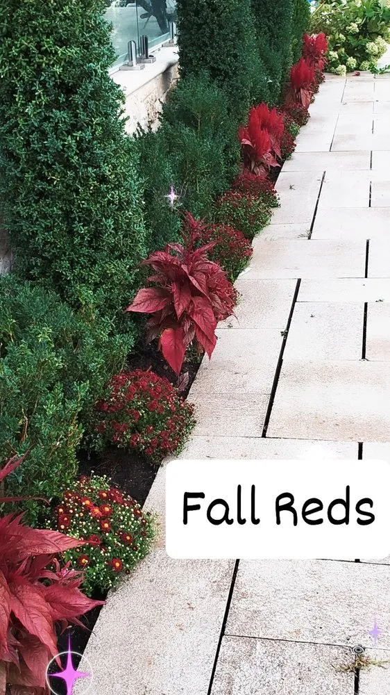 Expert landscaping services in Woodmere, NY - First in class landscape