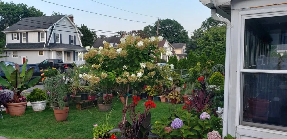 Affordable lawn care service experts serving Woodmere, NY - First in class landscape