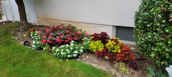 First in class landscape