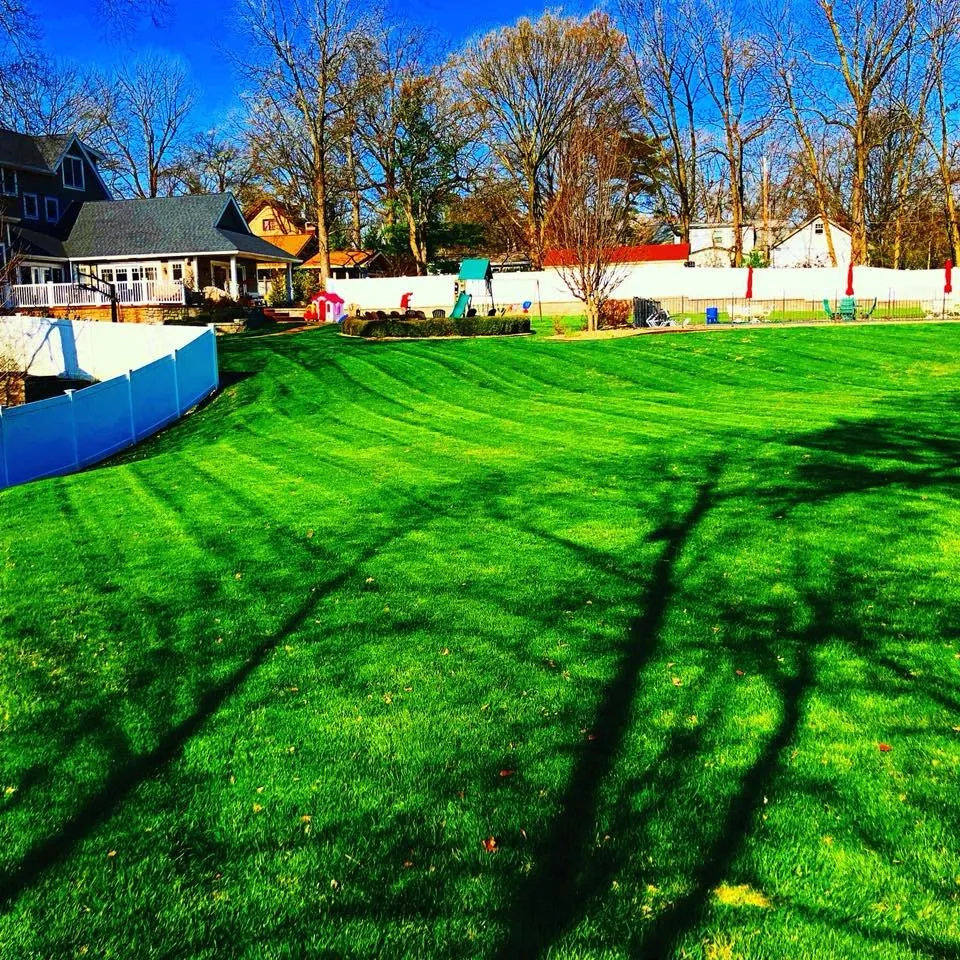 Affordable landscape design in St. Louis, MO - First-In Turf