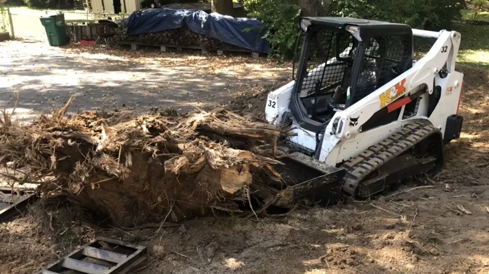 Local landscaping services in St. Louis, MO by First-In Turf