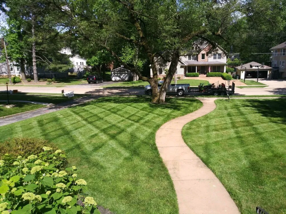 Local residential landscaping experts serving St. Louis, MO - First-In Turf