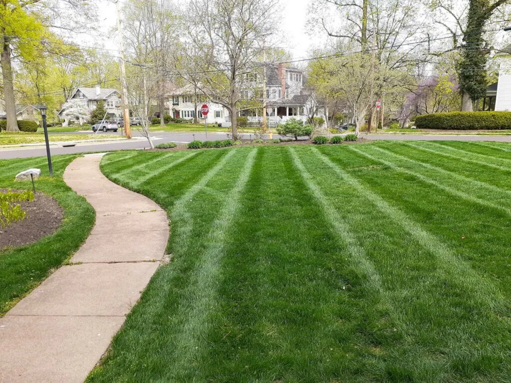 Reliable lawn mowing service experts serving St. Louis, MO - First-In Turf