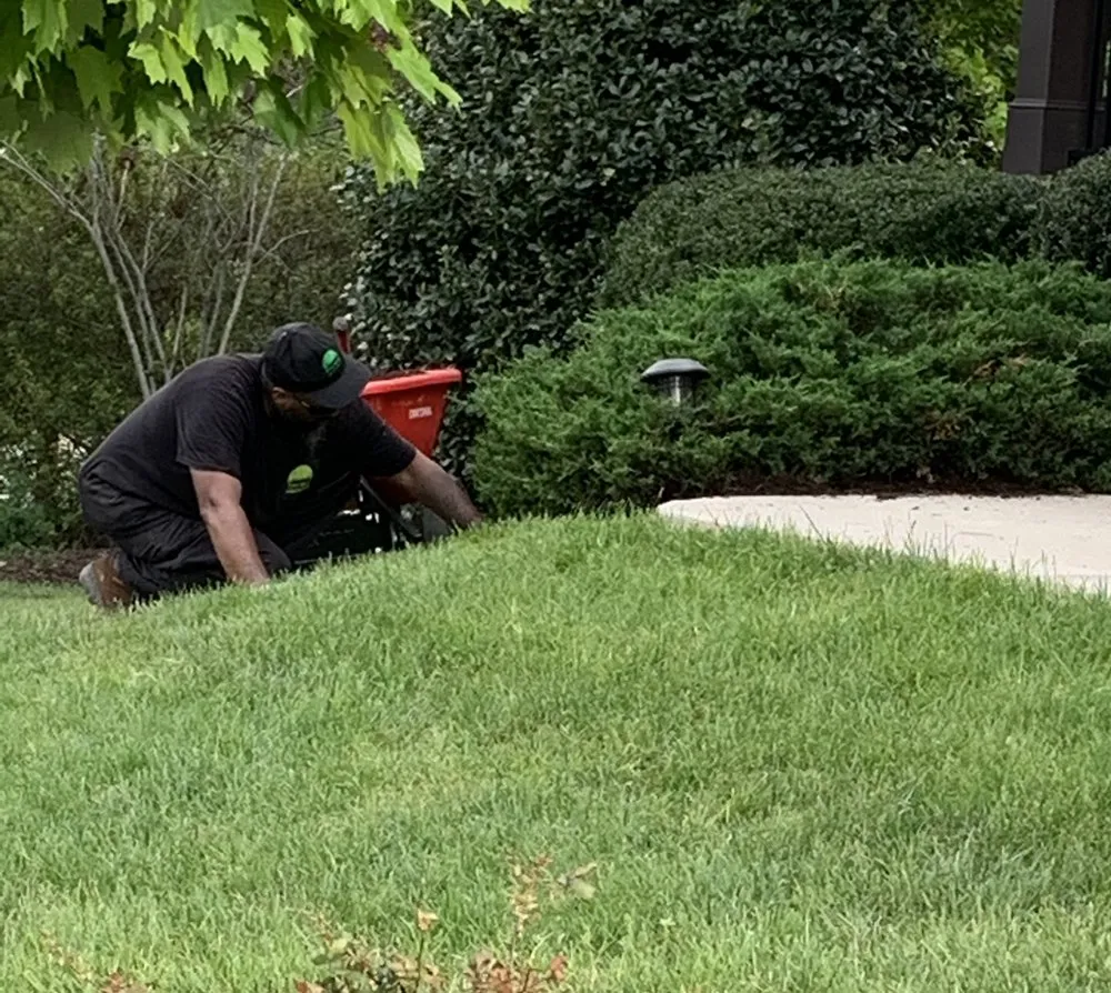 Affordable landscaping services for outdoor upgrades in Richmond, VA by First Kings Lawn Care Services