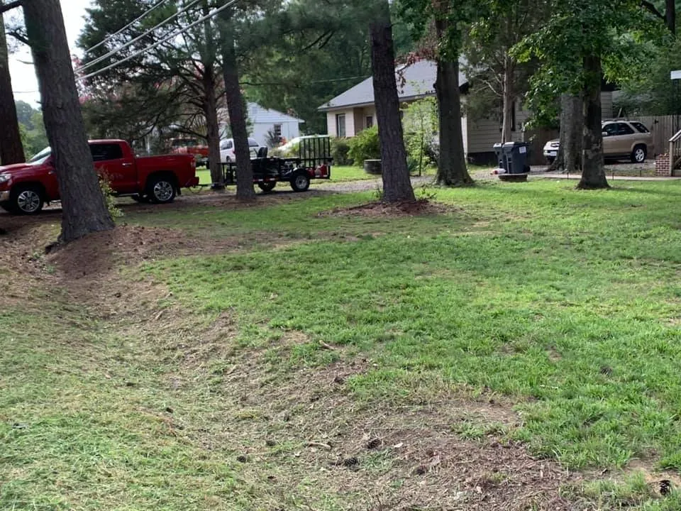 Reliable yard cleanup service in Richmond, VA - First Kings Lawn Care Services