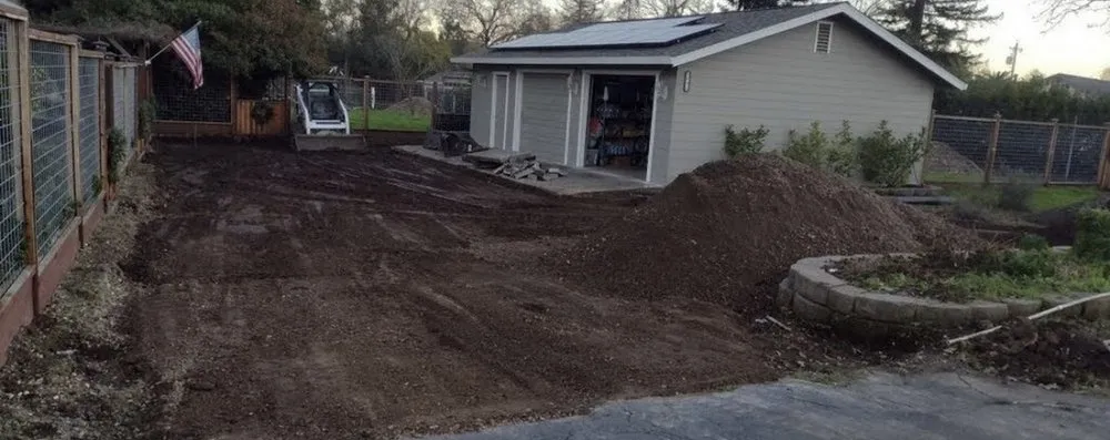 Professional yard cleanup service in Berkeley, CA by First Landscape Choice