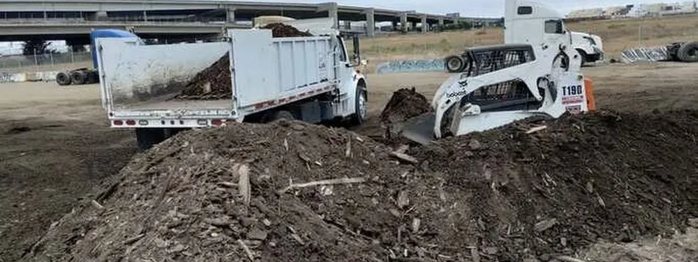 Expert yard cleanup service in Berkeley, CA - First Landscape Choice