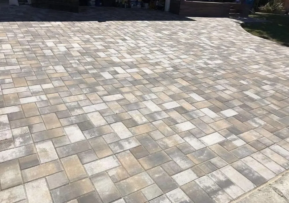 Reliable landscaping services experts serving Berkeley, CA - First Landscape Choice