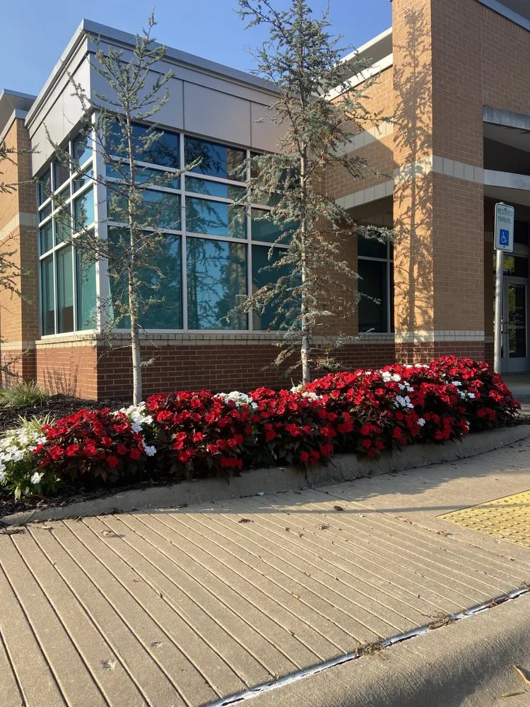 Custom lawn care service in Fayetteville, AR - First Light Landscaping