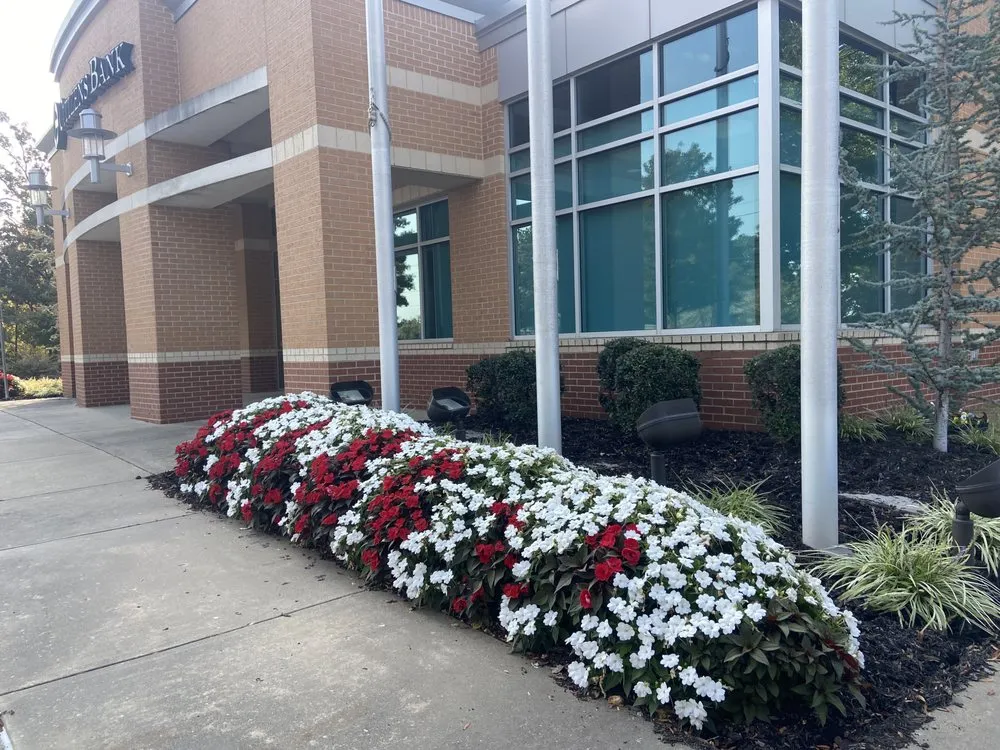 Trusted yard cleanup service in Fayetteville, AR by First Light Landscaping