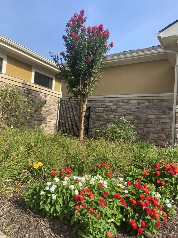 Local lawn mowing service with custom design across Fayetteville, AR - First Light Landscaping