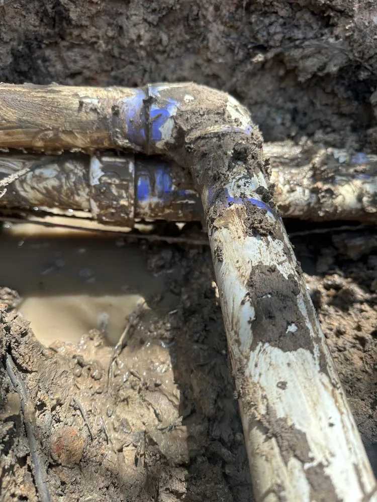 Affordable outdoor landscaping for homes in Willis, TX by First Line Irrigation