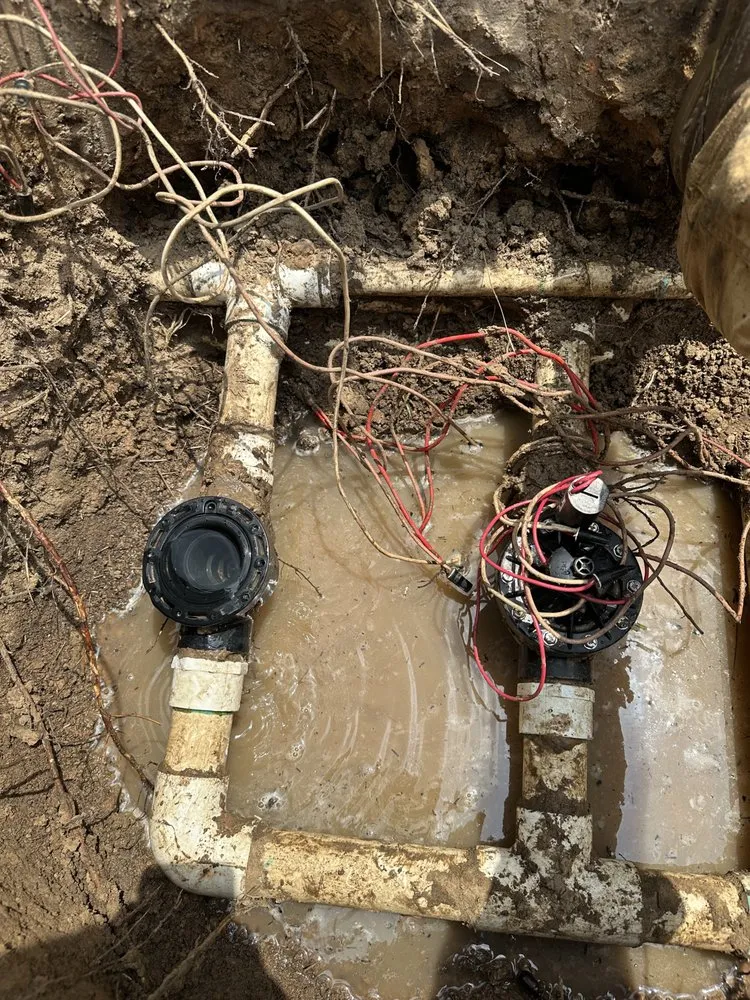 Expert landscaping services in Willis, TX by First Line Irrigation