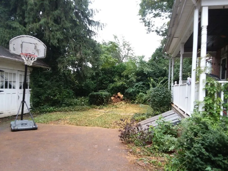 Expert outdoor landscaping experts serving Birdsboro, PA - First Nature Tree Service