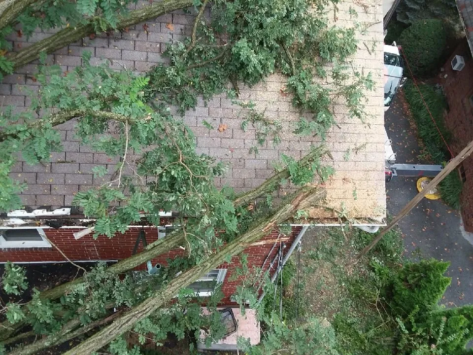 Expert outdoor landscaping in Birdsboro, PA by First Nature Tree Service