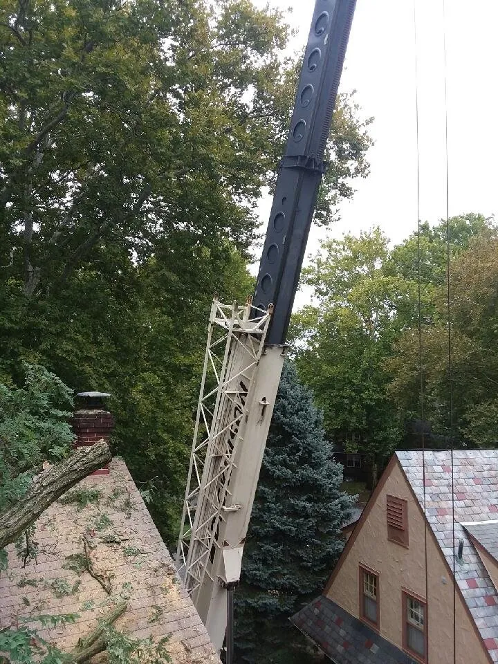 Custom garden landscaping near you in Birdsboro, PA by First Nature Tree Service