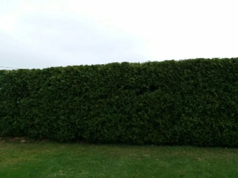 Expert residential landscaping with custom design across Birdsboro, PA - First Nature Tree Service