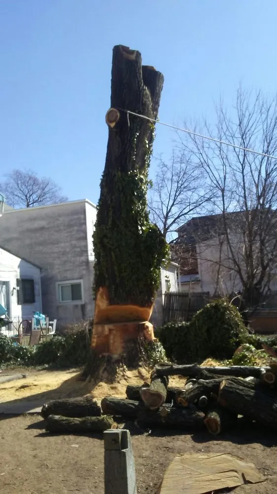 Reliable outdoor landscaping experts serving Birdsboro, PA - First Nature Tree Service