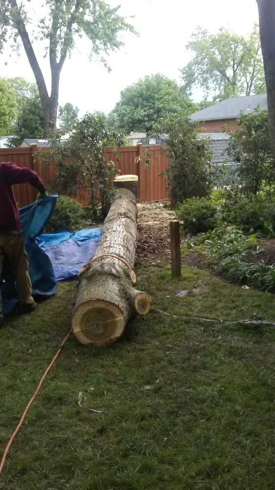 Professional garden landscaping for beautiful yards across Birdsboro, PA - First Nature Tree Service