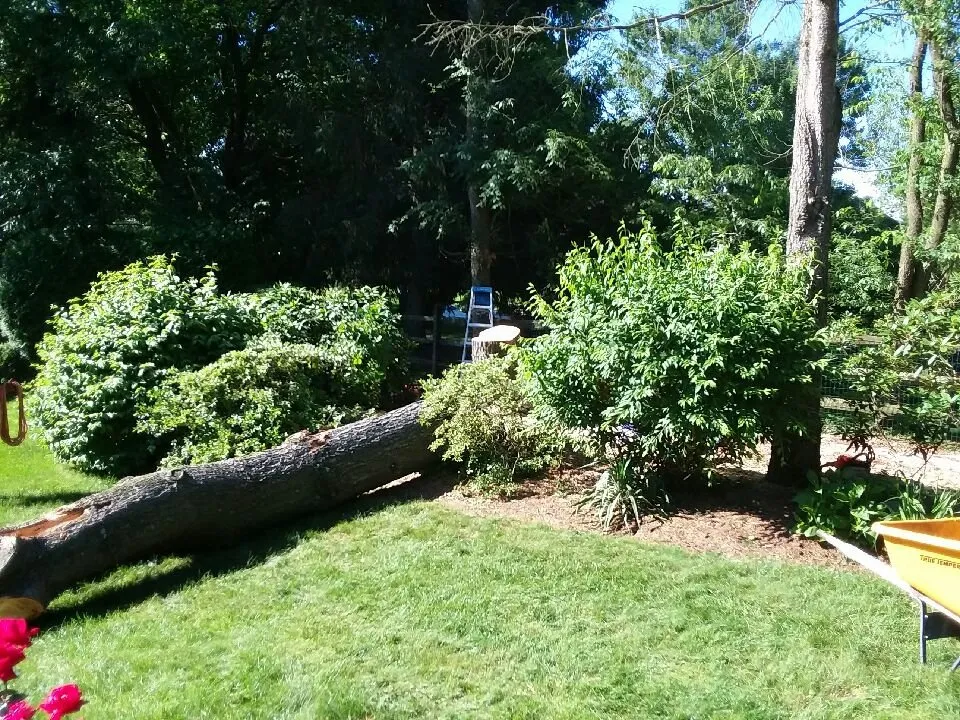 Local lawn mowing service for homes in Birdsboro, PA by First Nature Tree Service