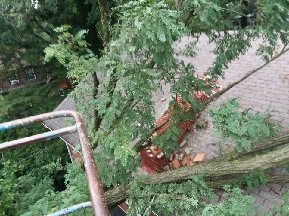 Local landscape design experts serving Birdsboro, PA - First Nature Tree Service