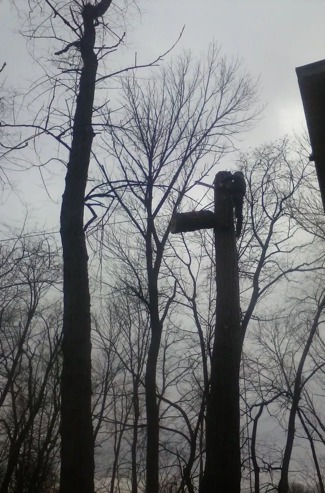 Local lawn mowing service for outdoor upgrades in Birdsboro, PA by First Nature Tree Service