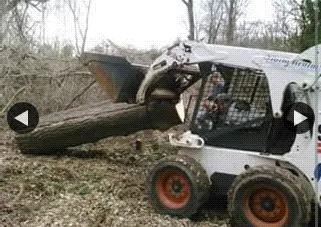 Expert lawn care service in Birdsboro, PA by First Nature Tree Service