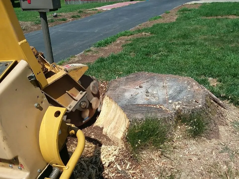 Local landscape design for residential properties across Birdsboro, PA - First Nature Tree Service