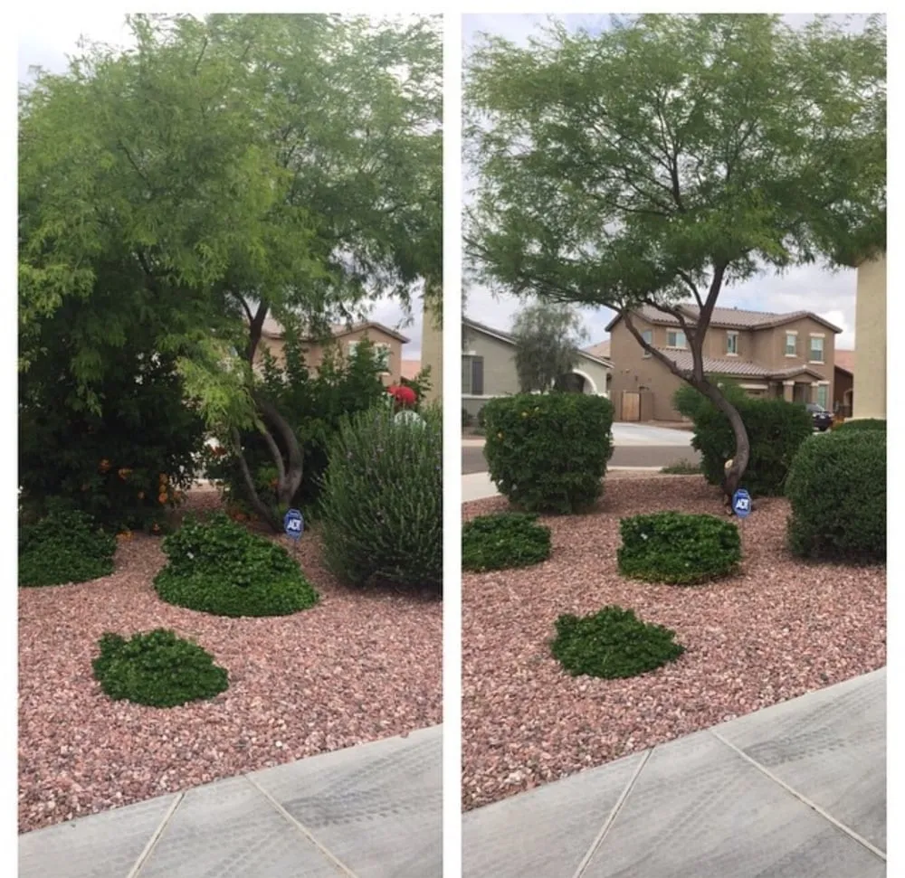 Affordable lawn mowing service experts serving Surprise, AZ - First Option Landscape