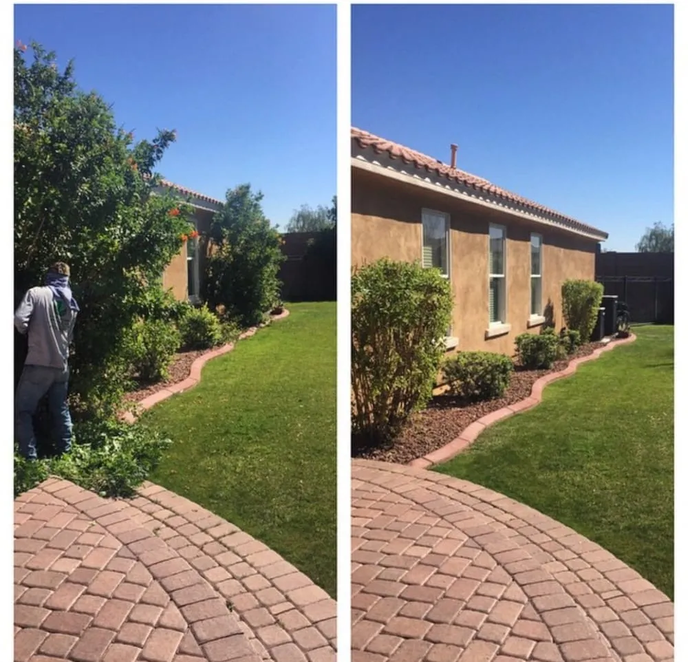 Affordable residential landscaping for homes in Surprise, AZ by First Option Landscape