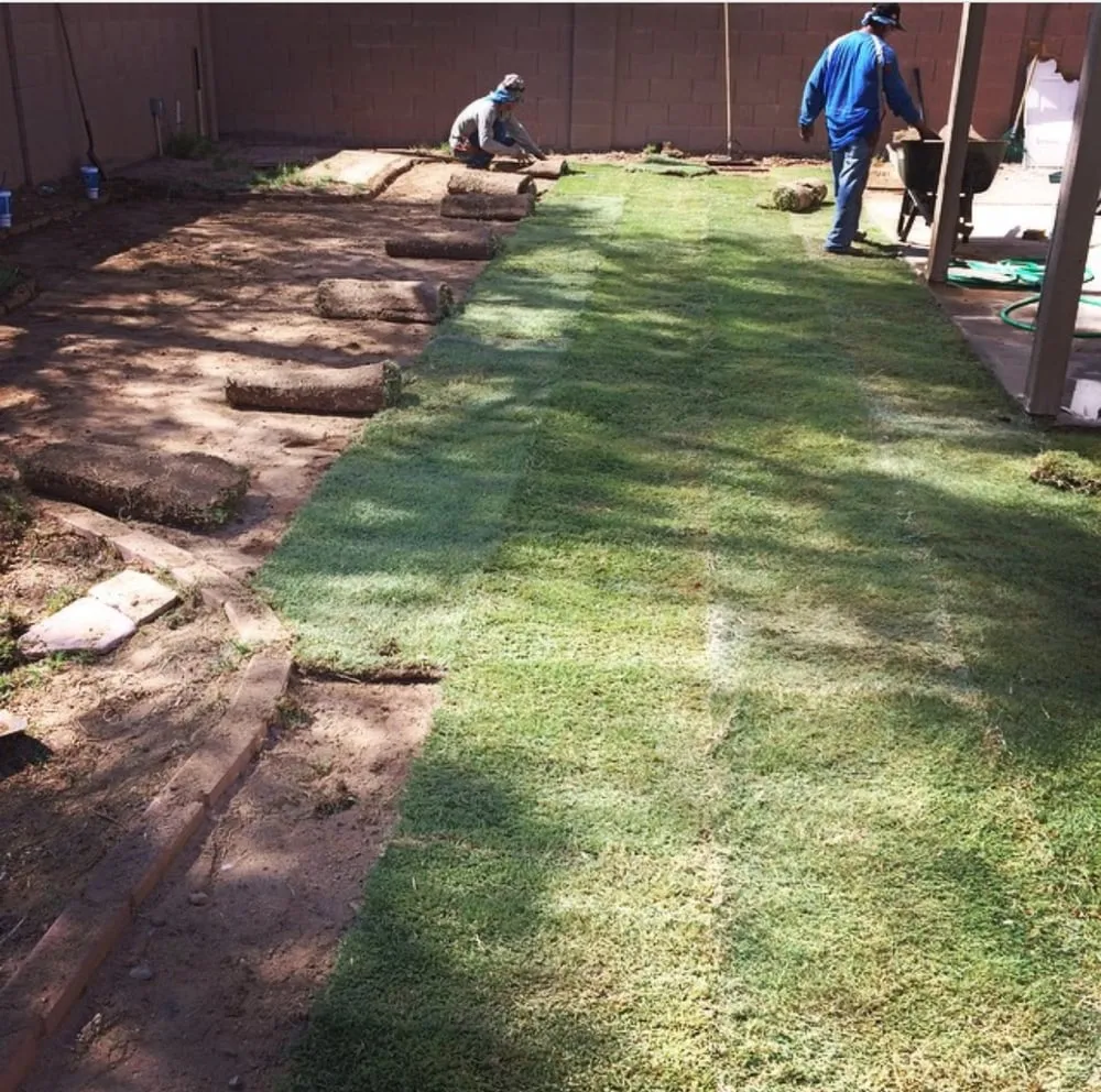 Professional landscape design experts serving Surprise, AZ - First Option Landscape