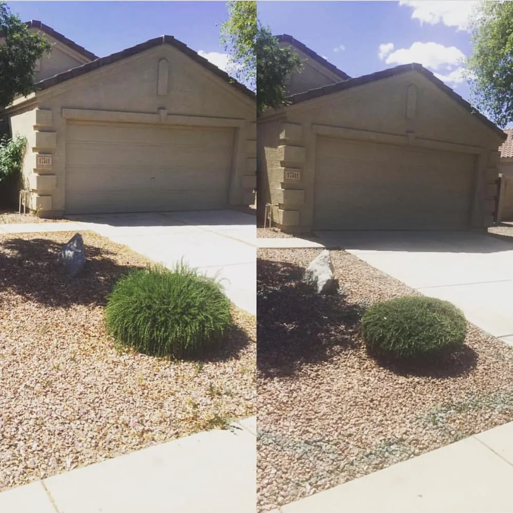 Local outdoor landscaping for beautiful yards in Surprise, AZ by First Option Landscape