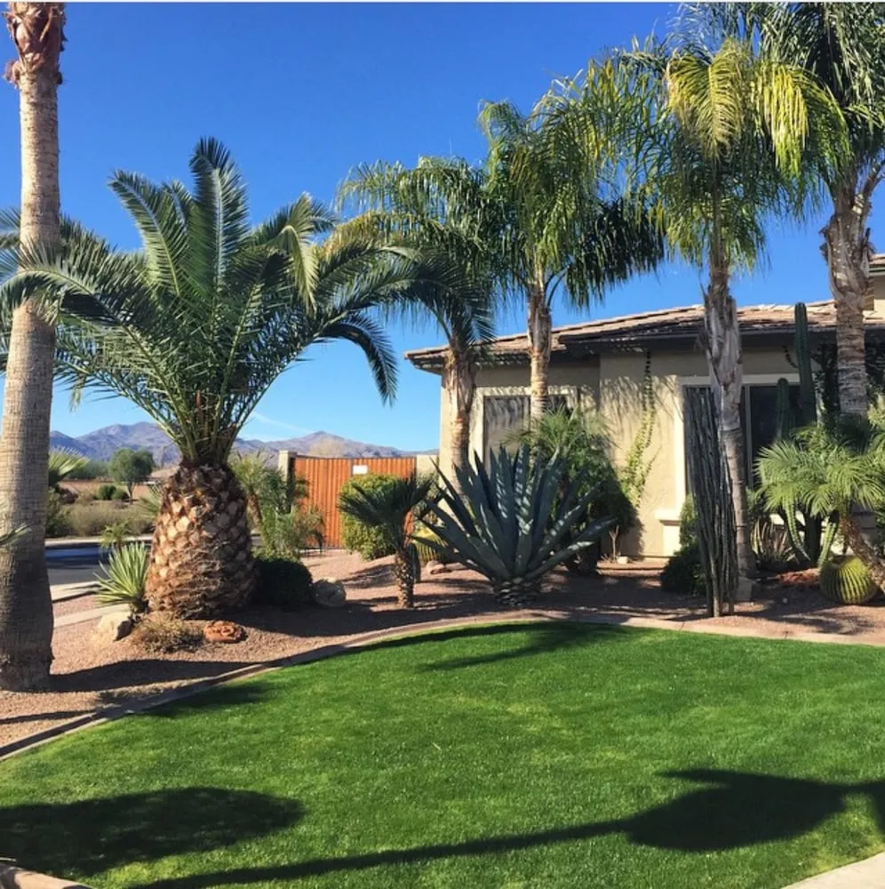 Custom residential landscaping with custom design across Surprise, AZ - First Option Landscape