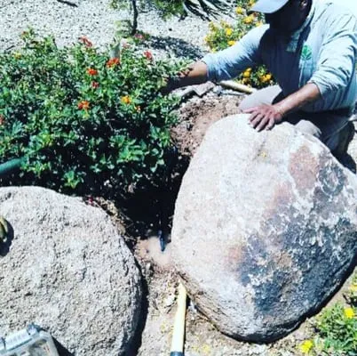 First Option Landscape Logo