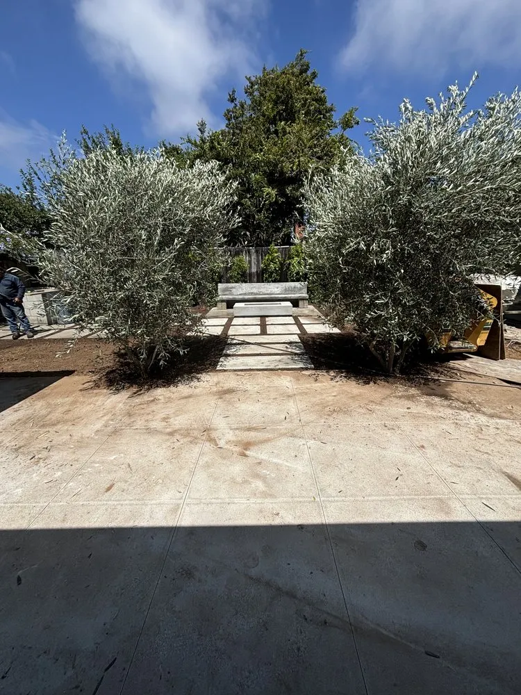 Custom landscape design in Los Angeles, CA - First Point Landscapes